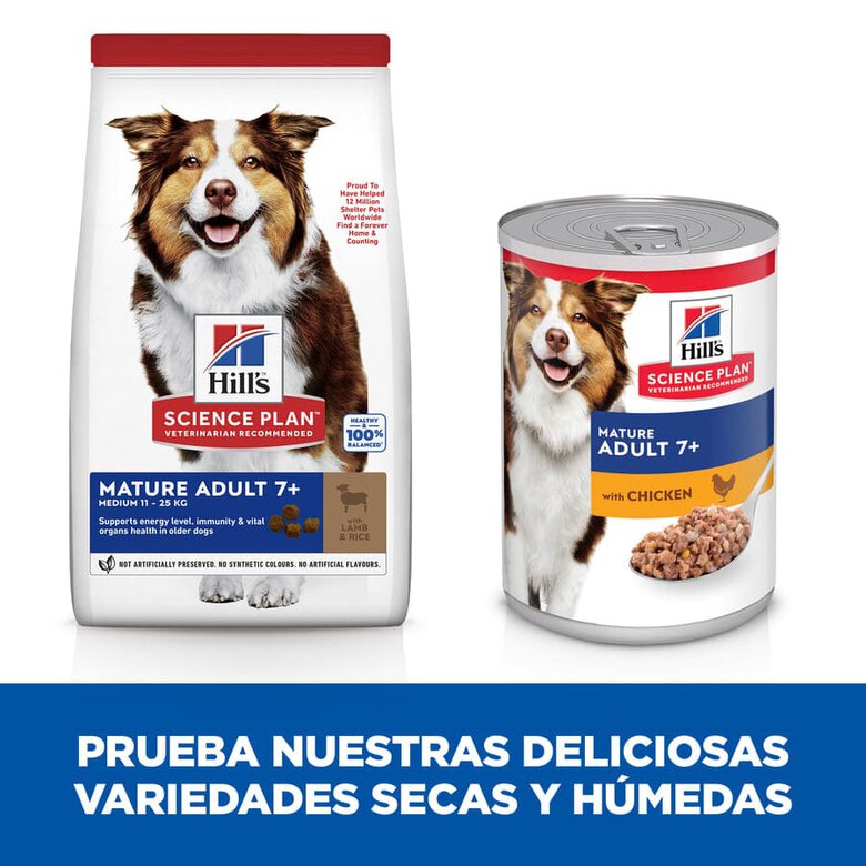 Hill's Science Plan Mature Adult Medium Cordero pienso para perros, , large image number null
